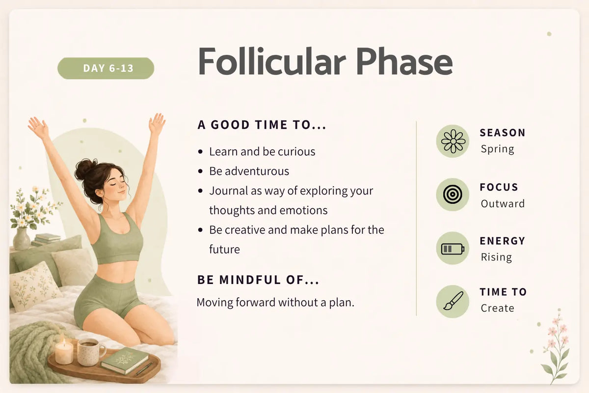 The Follicular Phase: Renewal & Vitality