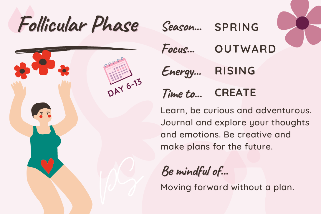 The Follicular Phase: Renewal & Vitality