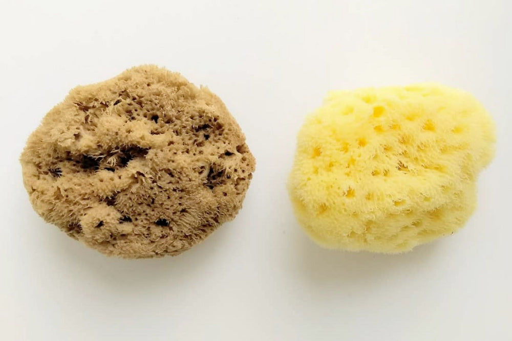 Menstrual Sea Sponge