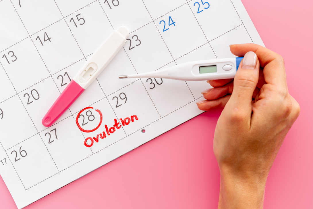 Anovulation: Causes, Signs & What It Means for Pregnancy