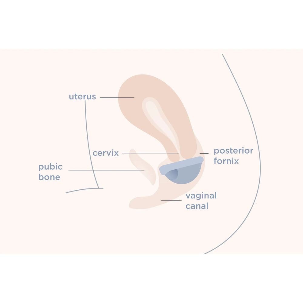 SAALT Reusable Menstrual Disc Duo - Small and Regular