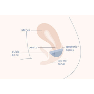 SAALT Reusable Menstrual Disc Duo - Small and Regular