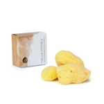 Esponjas marinas menstruales INTIMIDAD NATURAL - Blanqueadas medianas (paquete de 3)
