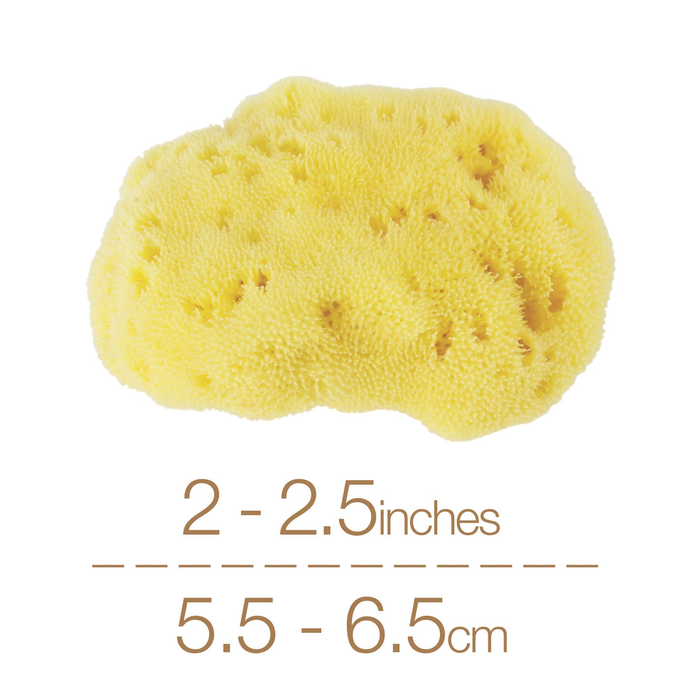NATURAL INTIMACY Menstrual Sea Sponges - Bleached Medium (3 Pack)