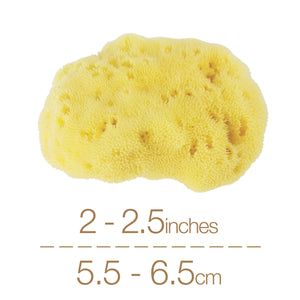 NATURAL INTIMACY Menstrual Sea Sponges - Bleached Medium (3 Pack)