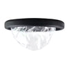 Auro Disposable Menstrual Discs – Black (10 Pack)
