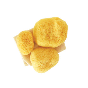 JADE & PEARL Reusable Sea Pearl Classic Menstrual Sponge - Multi Size (3 Pack)