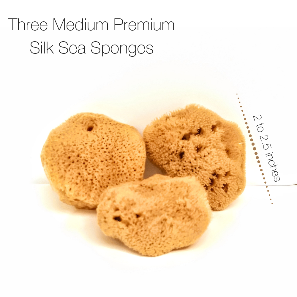 NATURAL INTIMACY Menstrual Sea Sponges - Unbleached Medium (3 Pack)