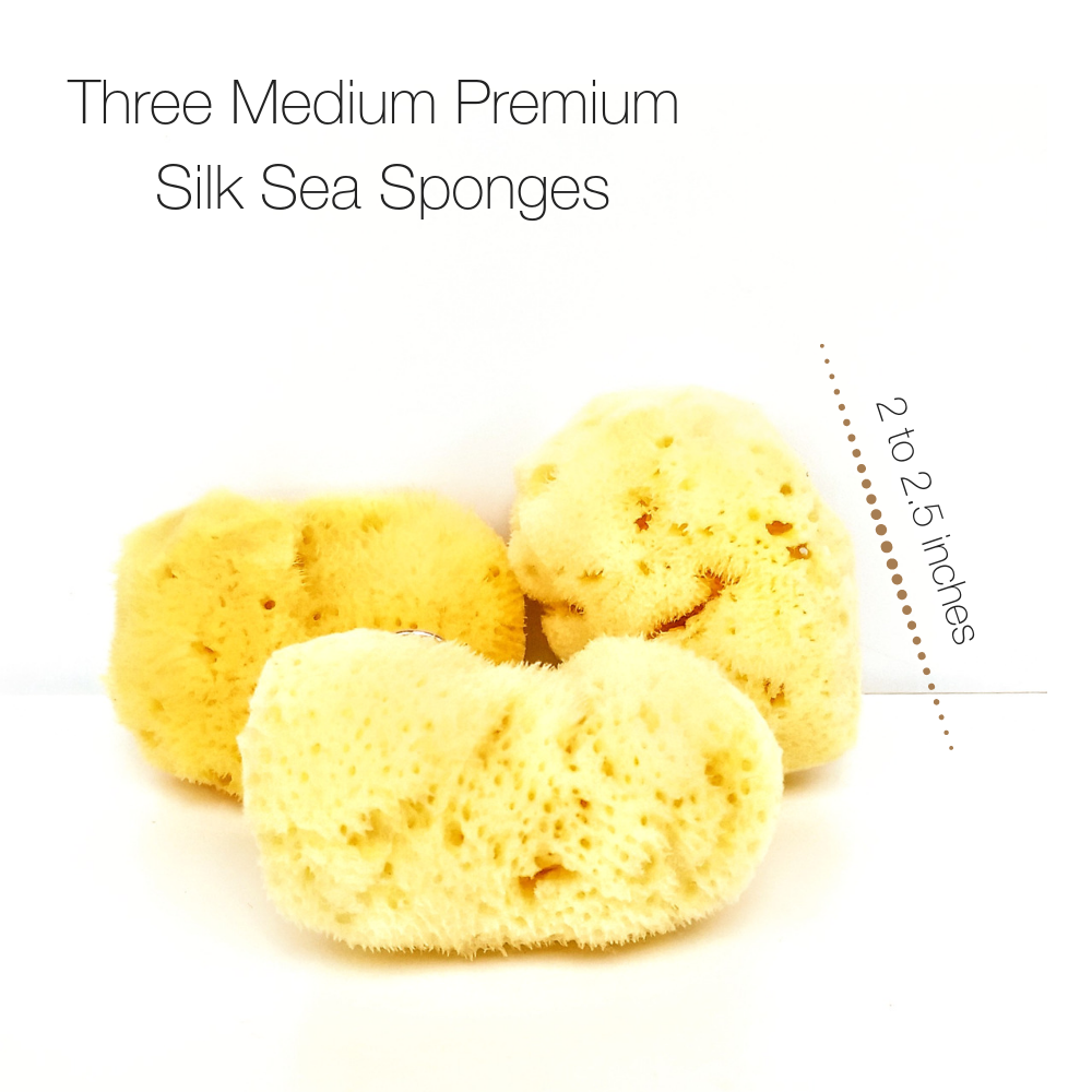 NATURAL INTIMACY Menstrual Sea Sponges - Bleached Medium (3 Pack)