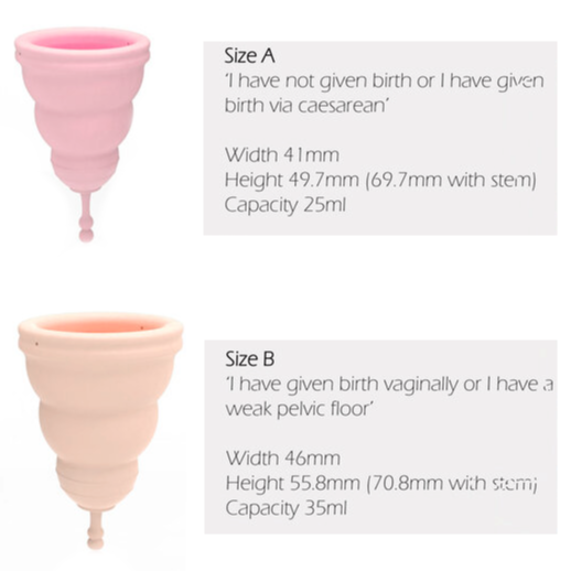 
            
                Load image into Gallery viewer, STAMINA Active Menstrual Cup - Model B
            
        