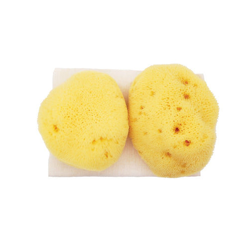 JADE & PEARL Sea Pearl Reusable Prolapse Sponge or Menstrual Sponge - XL + Firm (2 Pack)