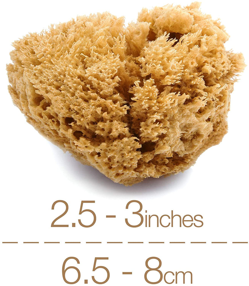 NATURAL INTIMACY Menstrual Sea Sponges - Unbleached Large (2 Pack)