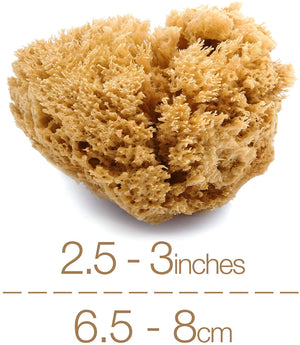 NATURAL INTIMACY Menstrual Sea Sponges - Unbleached Large (2 Pack)