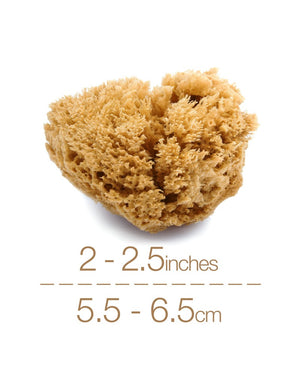 NATURAL INTIMACY Menstrual Sea Sponges - Unbleached Medium (3 Pack)