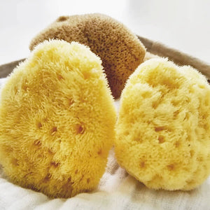 NATURAL INTIMACY Menstrual Sea Sponges - Bleached Large (2 Pack)